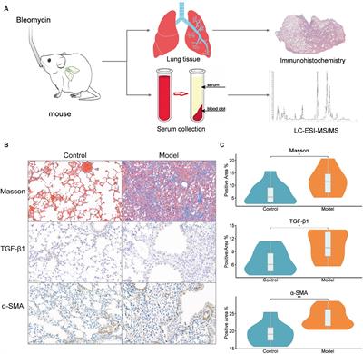 Metabolic profiling of idiopathic pulmonary fibrosis in a mouse model: implications for pathogenesis and biomarker discovery